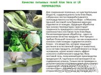 LR Aloe Vera Питьевой гель  с добавлением мёда
Классическая традиция от LR 
Пр. . фото 9