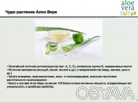Aloe Vera Baby   Массажный бальзам для мам
Производство LR Health&Beauty System. . фото 9