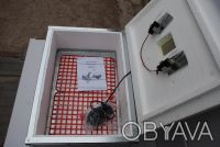 Инкубатор для яиц Наседка ИБМ-100 с механическим переворотом
 Сегодня достаточн. . фото 3