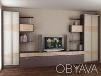 Наша компания предлагает изготовление корпусной мебели и шкафов на заказ в Киеве. . фото 2