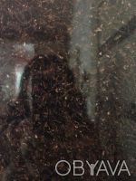 Продам шикарную столешницу произв Германия темно коричневая , глянцевая р 1750"6. . фото 2