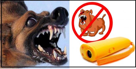 Надёжная защита от агресивных собак
 
Ультразвуковой отпугиватель собак AD-100 +. . фото 2