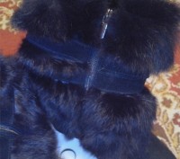 Новые зимние сапоги из натуральной замши фирмы Anna Lucci,цвет черный, внутри ме. . фото 6