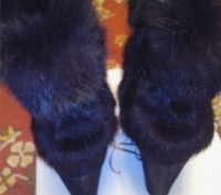 Новые зимние сапоги из натуральной замши фирмы Anna Lucci,цвет черный, внутри ме. . фото 7