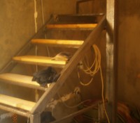 Металлические лестницы. Лестницы на второй этаж. Изготовление и монтаж.. . фото 7