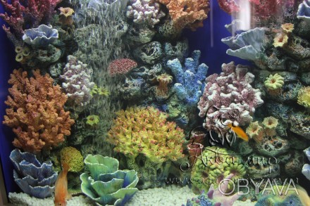 Компания «Аква-мир» предлагает услуги по оформлению и запуску аквариумов, подбор. . фото 1