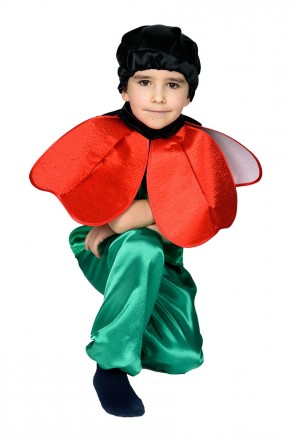  Детский маскарадный костюм Мака для мальчика. Костюм мака на праздник осени,пра. . фото 4