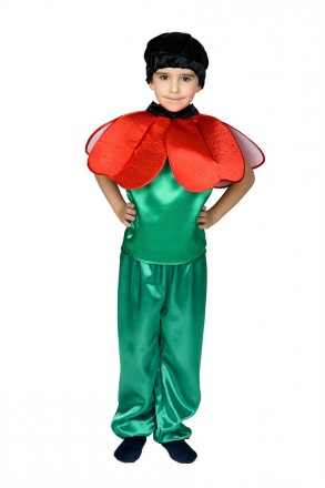  Детский маскарадный костюм Мака для мальчика. Костюм мака на праздник осени,пра. . фото 3