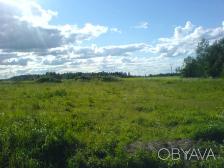 Продается земельный участок в Клавдиево . Есть варианты.
http://sana.biz.ua. Клавдиево-Тарасово. фото 1