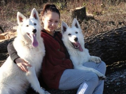 В питомнике Из дома Литвиных родились очаровательные щеночки Белой Швейцарской О. . фото 3