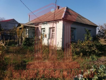 Дом в с. Иванков, Бориспольского р-на общей площадью 50 кв.м. с участком 24 сотк. . фото 9