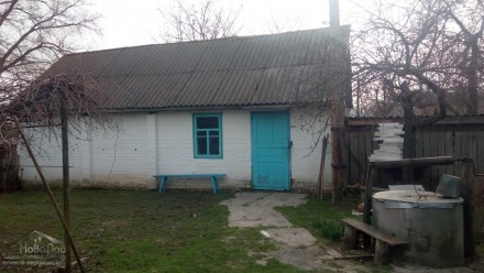 Продается дом дача по дороге Киев - Чернигов  село Копти   
... теплый дом дере. Копти. фото 4