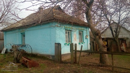 Продается дом дача по дороге Киев - Чернигов  село Копти   
... теплый дом дере. Копти. фото 12