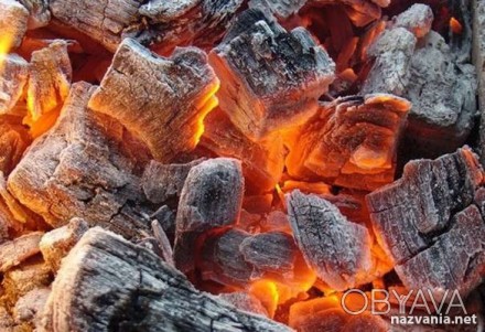 Компания Forest является производителем древесного угля высокого качества в соот. . фото 1