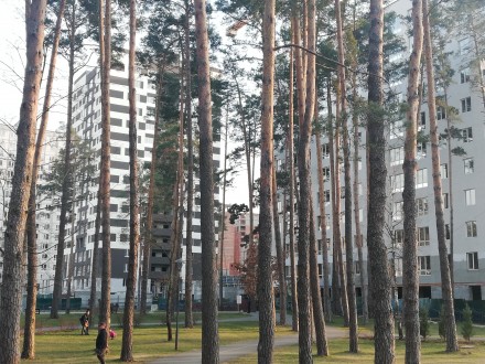 Классная двухкомнатная квартира в районе центрального парка в ЖК Чехов парк. Ква. . фото 7