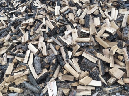 Продам в больших количествах дрова твердых пород (дуб, ясень, акация), метровые,. . фото 8