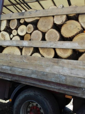 Продам в больших количествах дрова твердых пород (дуб, ясень, акация), метровые,. . фото 9