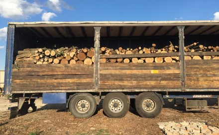 Продам в больших количествах дрова твердых пород (дуб, ясень, акация), метровые,. . фото 2
