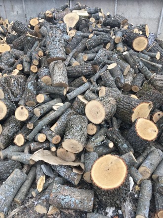 Продам в больших количествах дрова твердых пород (дуб, ясень, акация), метровые,. . фото 10