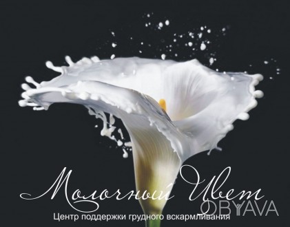 "Молочный Цвет" - Центр поддержки грудного вскармливания в Черкассах
 
"Больши. . фото 1