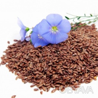 Семена льна 100 грамм — лекарственные травы и растения (сухие), можно купить в н. . фото 1