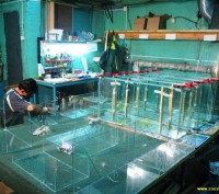 Изготавливаем, реставрируем и ремонтируем  аквариумы с 1994 года. До 3-ёх тонн в. . фото 2