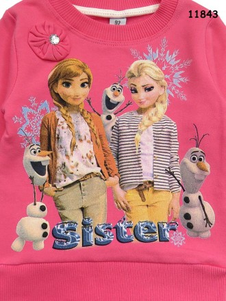 Теплый костюм Frozen для девочки. (11841-43)
Цена 268 грн
Код товара 484
Опис. . фото 9