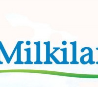 WPC 80 Milkiland Ostrowia ― Получается путем удаления существенных небелковых ко. . фото 3