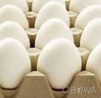 Предлагаем яйцо куриное, категории.С-0 С-1,С-2,ОПТ.. . фото 1