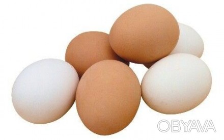 Яйца куриные домашние.Куры не вольерного содержания. Цена указана за десяток.. . фото 1