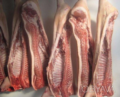 Частное предприятие реализует мясо свинины без сала- 62 гр/кг, полутуши 35-45 кг. . фото 1