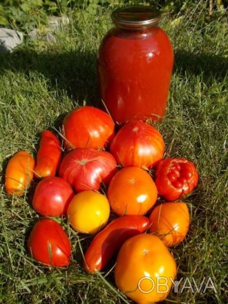 Предлагаю собственного изготовления натуральный томатный сок (морс) 2016 года из. . фото 1