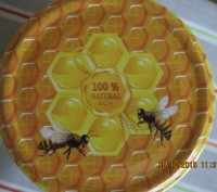 Мед с собственной пасеки. Полтавская область-самая экологически чистая(село Карп. . фото 2