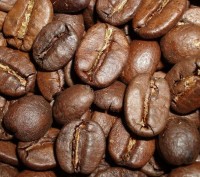 Компания-обжарщик кофейных зерен предлагает более 70 сортов качественного натура. . фото 2