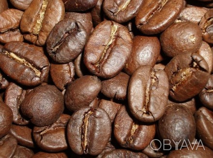 Компания-обжарщик кофейных зерен предлагает более 70 сортов качественного натура. . фото 1