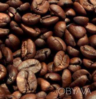 Продаём кофе. Арабика Бразилия Сантос - самый популярный бразильский кофе для це. . фото 1