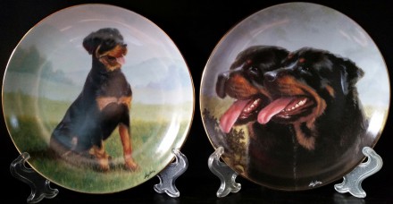 Отличный подарок немецкая фарфоровая тарелка с видом собаки. Идеальный подарок б. . фото 3