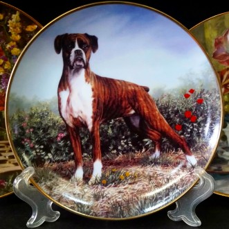 Отличный подарок немецкая фарфоровая тарелка с видом собаки. Идеальный подарок б. . фото 4