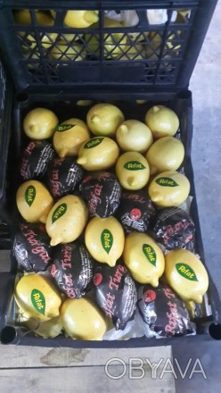 Продаю Лимон в Киеве, Турция. Известный и самый лучший бренд RIFAT. Доставка по . . фото 1