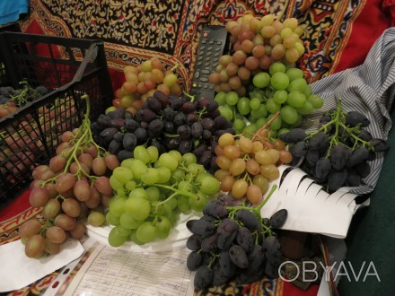 Продам большое количество черенков винограда .
Сорта разные.
Черенки 3-4 или 6. . фото 1