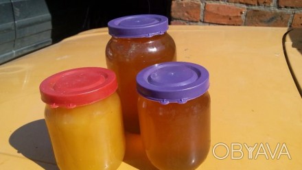 Продаю мед, різнотрав'я. Мед з власної пасіки, яка знаходиться у сільській еколо. . фото 1