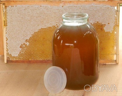 Продам липово-гречаний мед ,який викачанний в липні 2016 року,по 80 гривень за 1. . фото 1