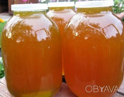 Продам мед с домашней пасеки. Гарантия качества, 100% натуральный продукт. В нал. . фото 1