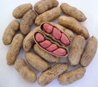 Продам семена арахиса сорт Валенсия и Степняк. Урожай 2016 года, выращен нами в . . фото 3
