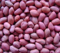 Продам семена арахиса сорт Валенсия и Степняк. Урожай 2016 года, выращен нами в . . фото 2