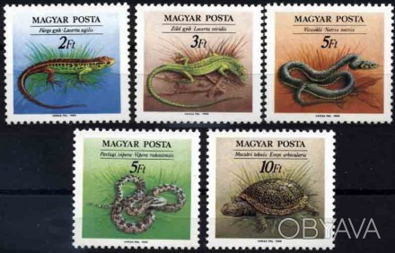 Венгрия рептилии ― змеи ― ящерицы ― черепахи
1989 г.в.
Michel: 4035-4039
Scott: . . фото 1