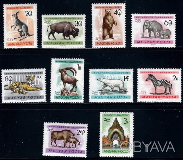 Венгрия - зоопарк, дикие животные
1961 г.в.
Mi: 1727-1736
MNH XF 
Полная серия
 . . фото 1