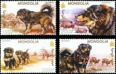 Монголия - собаки
 
2002 г.в.
Scott: 2514-2517
MNH XF ** 
Полная серия
 
 
 
 
. . фото 1