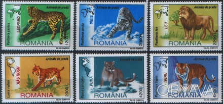 Румыния - дикие животные
 
2000 г.в.
Mi: block316
MNH XF ** 
Блок
. . фото 1