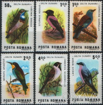 Румыния - птицы дельты Дуная
 
1983 г.в.
Mi: 3966 - 3971
MNH XF ** 
Полная серия. . фото 1